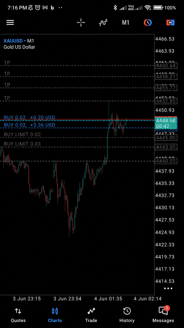 On the go, tap the trade into the MT5 app.